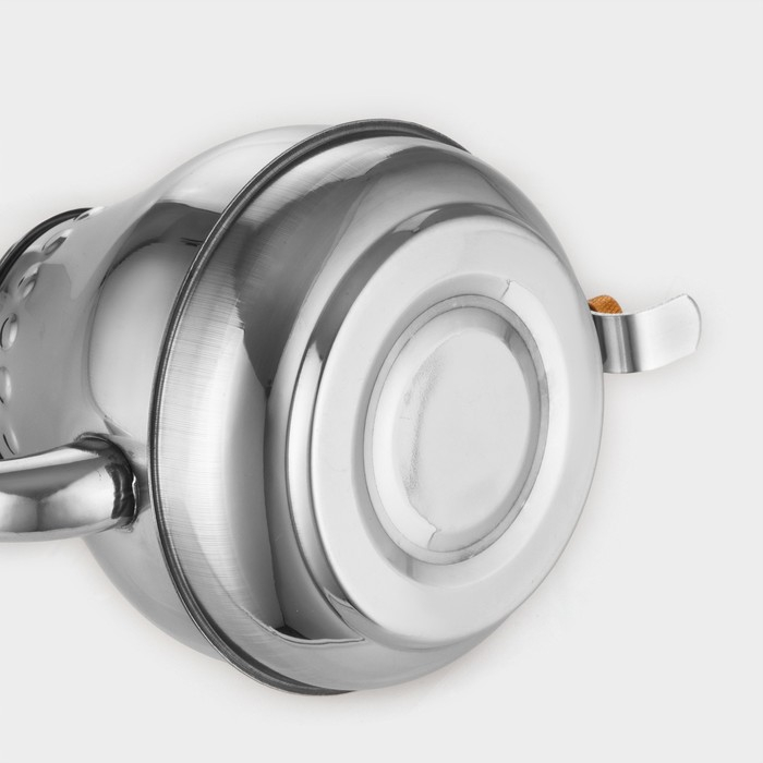 Чайник заварочный из нержавеющей стали &laquo;Леранс&raquo;, 1,2 л, металлическое сито, цвет хромированный