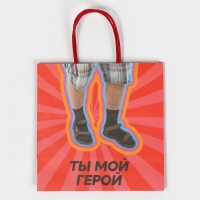 Пакет подарочный, упаковка, &laquo;Герой&raquo;, 22 х 22 х 11 см