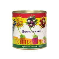 Набор для творчества малый &laquo;Топиарий. Тюльпаны&raquo;, МИКС