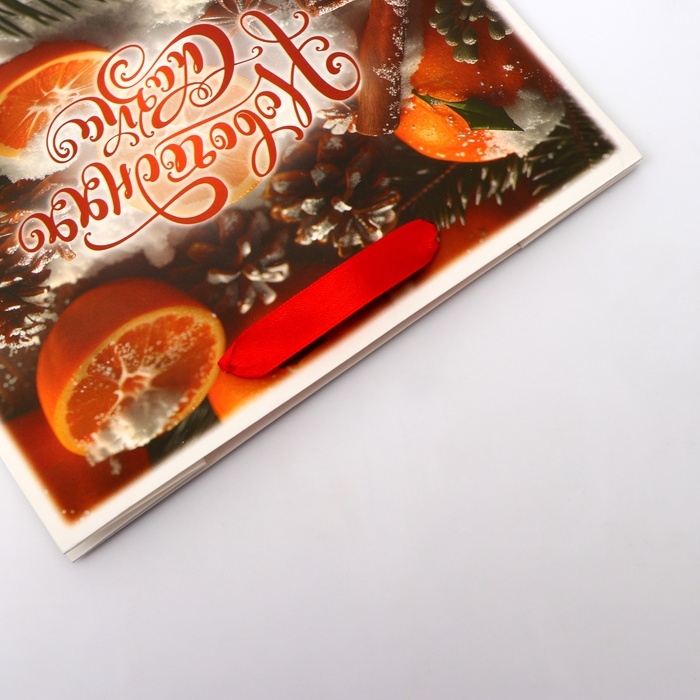 Новый год. Пакет подарочный новогодний бумажный, "Новогодняя сказка", 24 х 20 х 11 см.