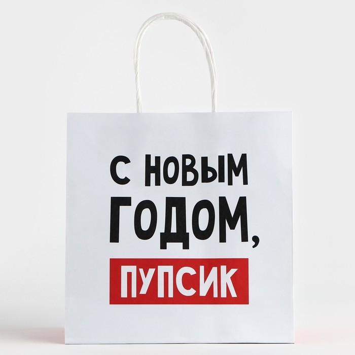 Пакет подарочный новогодний &laquo;С Новым годом, пупсик&raquo;, 22 х 22 х 11 см , Новый год
