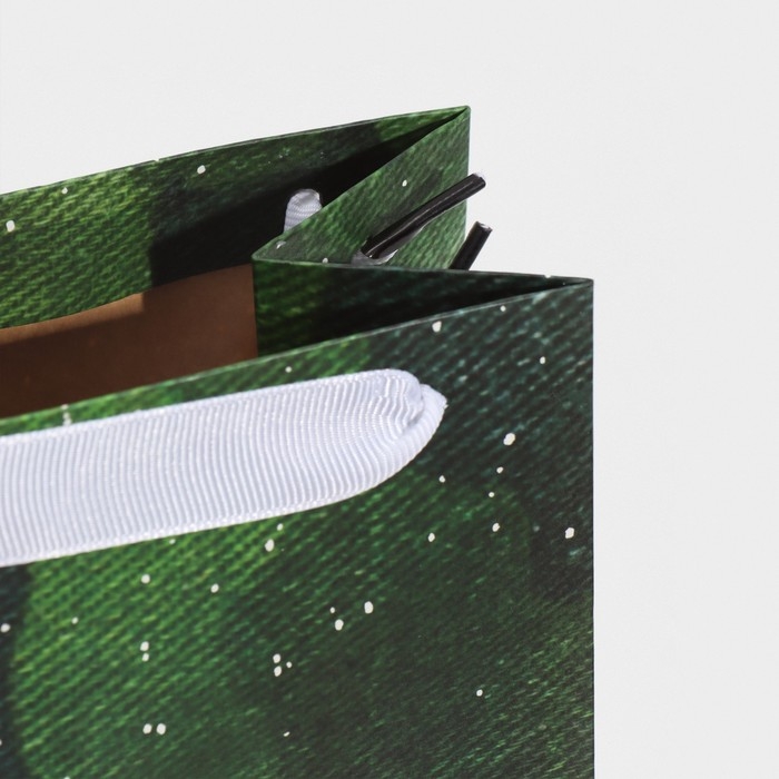 Пакет подарочный под бутылку, упаковка, &laquo;С днём защитника Отечества&raquo;, 36 х 13 х 10 см