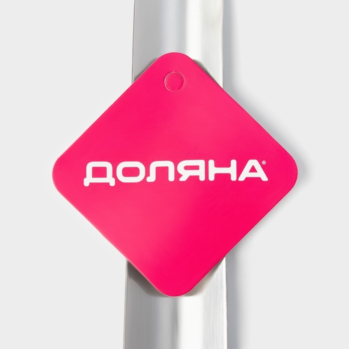 Ложка для обуви Доляна, металлическая, 60&times;4,5 см, нержавеющая сталь