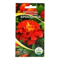 Семена Цветов однолетние Бархатцы "Брокад Ред",отклонённые, махровые, 0,2 г