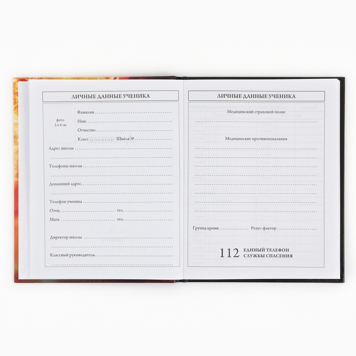 Дневник школьный 1-4 класса, в твердой обложке, 48 л &laquo;Футбольный мяч&raquo;