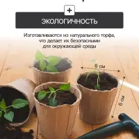 Набор для рассады: торфяной горшок 6&times;6 см, кассета на 6 ячеек, 17.5&times;13.5 см, Greengo