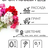 Семена цветов Флокс "Разноцветная смесь", 0,1 г