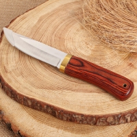 Нож охотничий "Алвар" 24,5см, клинок 130мм/3мм, коричневый