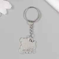 Брелок металл "Хрюшка с рублём" 2,4х2,5 см