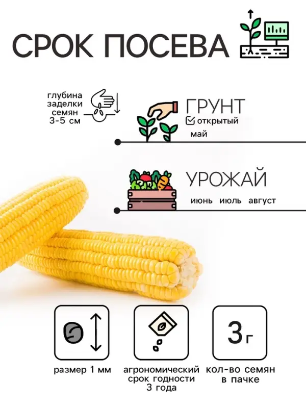 Семена Кукуруза "Краснодарский сахарный 250 CВ", 3 г
