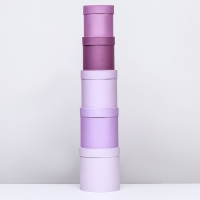 Набор круглых подарочных коробок 5 в 1 &laquo;Пудра&raquo;, 20 &times; 20 &times; 20‒13,5 &times; 13,5 &times; 13,5 см