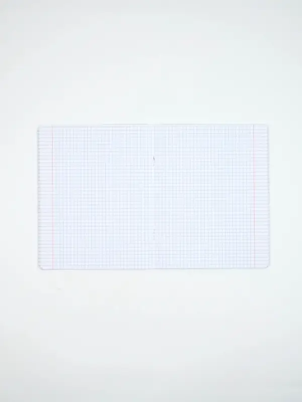 Тетради в клетку, 48 л., набор из 5 шт., блок №1 &laquo;Мечта&raquo;