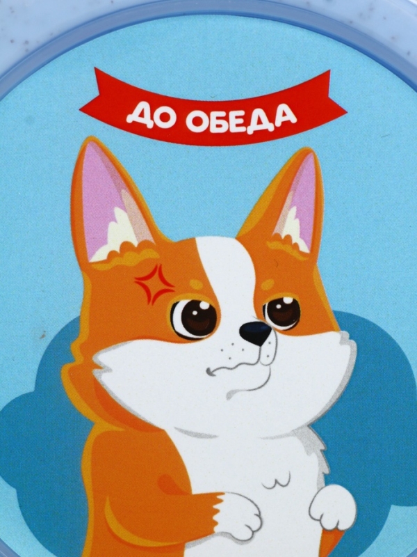 Ланч - бокс с 4 секциями &laquo;До/после обеда&raquo;, 23 х 17 х 5,5 см, голубой