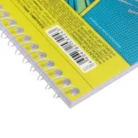 Альбом д/рис А4 32л на спирали Hatber "Street Style", мат лам, 3D-фольг, перфорац, 5В МИКС