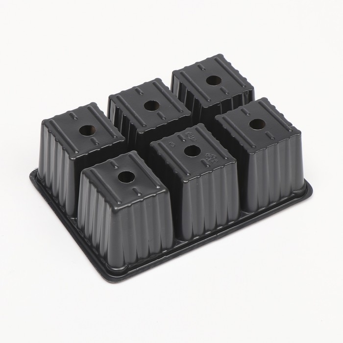 Кассета для рассады, 6 ячеек по 120 мл, набор 5 шт., чёрная