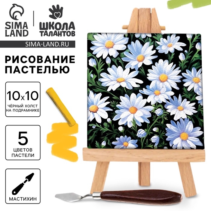 Рисование пастелью c холстом на подрамнике &laquo;Ромашки&raquo;, набор для творчества