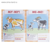 12 книг с картонной вкладкой &laquo;Полный годовой курс от 1 до 2 лет&raquo;, Денисова Д.