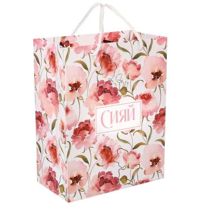 Пакет подарочный "Сияй" 18х23х10 см, упаковка, Принцессы