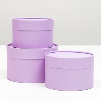 Набор шляпных коробок 3 в 1,"Сиреневый",16 х 10,14 х 9,13 х 8,5 см