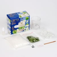 Свеча своими руками. Создание ароматической свечи с сухоцветами &laquo;Зеленое яблоко&raquo;, набор для творчества