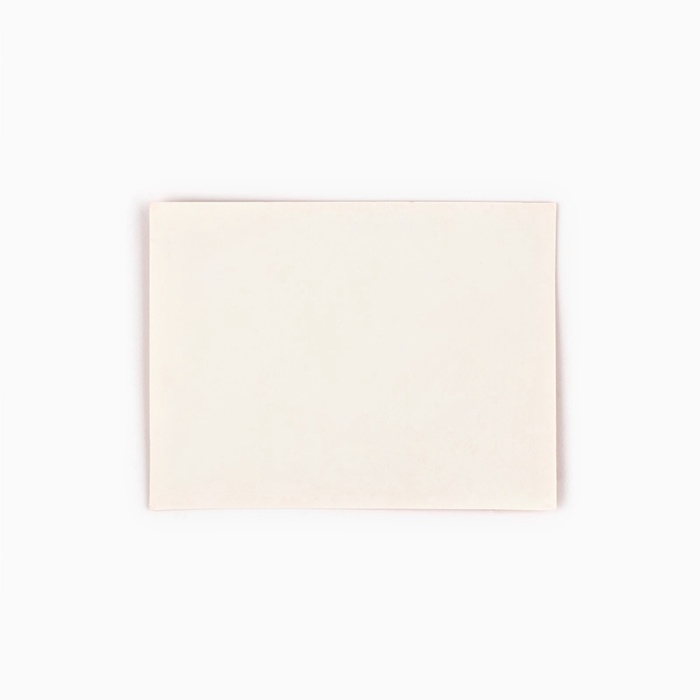 Пакет ламинированный двухсторонний &laquo;Пионы&raquo;, с тишью и открыткой, S, 12 х 15 х 5.5