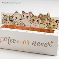 Коробка для макарун кондитерская, упаковка &laquo;Meow or never&raquo;, 18 х 5,5 х 5,5 см