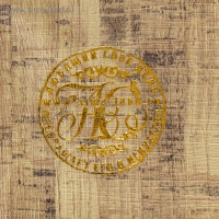 Сейф дерево книга "Русская история" 21х13х5 см