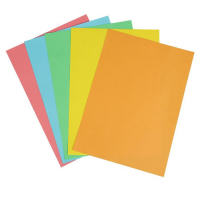 Бумага цветная А4, 50 листов Calligrata Интенсив, 5 цветов, 80 г/м&sup2;