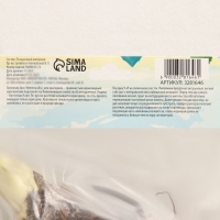 Флокс метельчатый &laquo;Аметист&raquo;, корневище в пакете с торфогрунтом, р-р I, 2 шт.