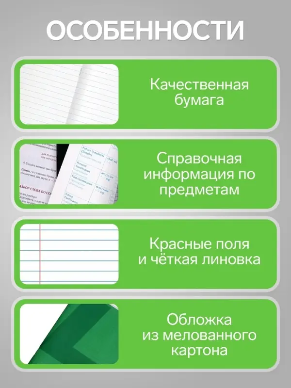 Предметная тетрадь по литературе Calligrata. MonoTone, 36 листов, в линейку, со справочным материалом, обложка из мелованной бумаги