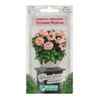 Семена цветов Вербена гибридная "Тускани Персик", 8 шт