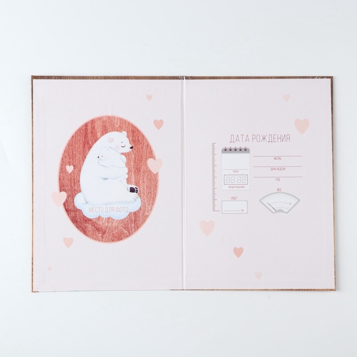 Папка для свидетельства о рождении "Мама и малыш", медведи, 23 х 17 см
