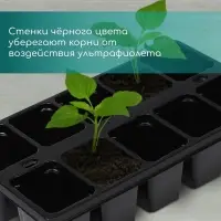 Кассета для рассады Greengo на 10 ячеек, по 100 мл, пластиковая, чёрная, 25&times;14&times;5 см