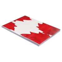 Сменный блок для тетрадей на кольцах А5, 120 листов, в клетку, Calligrata, блок офсет № 160 гр/м2, белизна 100%,