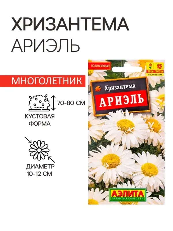 Семена  цветов Хризантема "Ариэль", Мн, 0,1 г