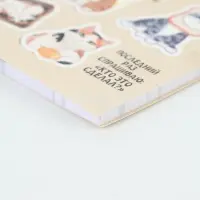 Планинг с отрывными листами, 50 л  "Планер котика"