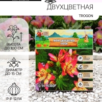 Лилия Двухцветная Trogon, луковица в пакете с перфорацией, р-р 12/14, 3 шт.