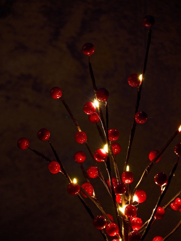 Светодиодный куст &laquo;Рябина&raquo; 45 см, 24 LED, постоянное свечение, от батареек ААх3 (не в комплекте), свечение тёплое белое