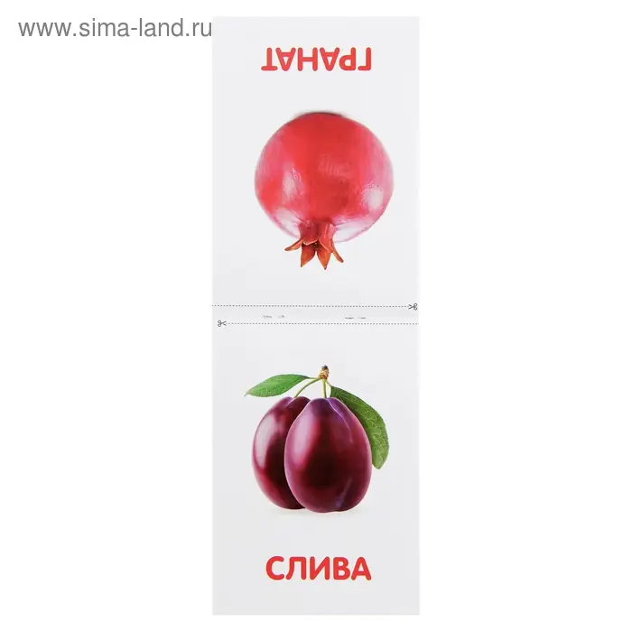 Книжка обучающая по методике Г. Домана &laquo;Фрукты&raquo;, 20 стр.