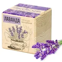 Набор для выращивания &laquo;Экокуб&raquo;, лаванда