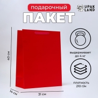 Пакет ламинированный вертикальный &laquo;Фуксия&raquo;, L 31 &times; 40 &times; 14 см