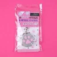 Брелок мялка для ключей &laquo;Лапка&raquo; 4,5 х 4 см