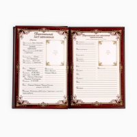 Родословная книга в шкатулке &laquo;Древо семьи&raquo;, 56 листов, 20 х 26 см.