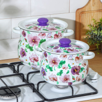 Набор кастрюль &laquo;Анютины глазки&raquo;, 2 предмета: 4 л, 5.5 л, индукция