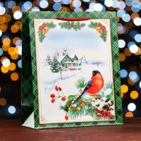 Новый год. Пакет подарочный "У Ёлочки ", 26 х 32 х 12 см.