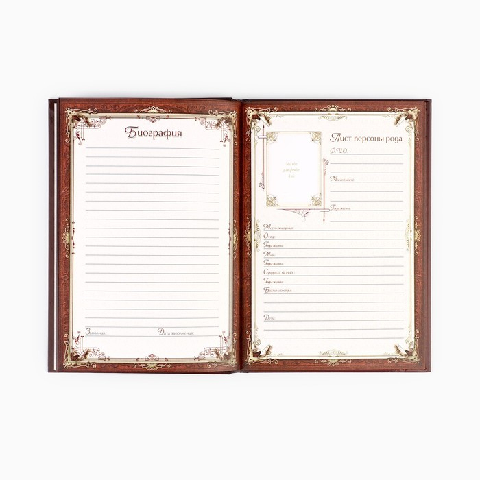 Родословная книга в шкатулке &laquo;Древо семьи&raquo;, 56 листов, 20 х 26 см.