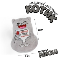 Магнит &laquo;Позови меня в запой, я приду сквозь злые ночи&raquo;