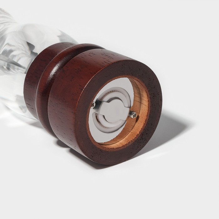 Мельница для специй Доляна &laquo;Эстет&raquo;, 22&times;5,5 см, керамический механизм, дуб