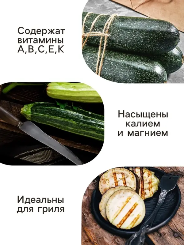 Семена Кабачок цукини "Зебра", 2 г