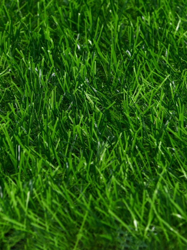 Газон искусственный, ворс 30 мм, 1 &times; 2 м, зелёный, Greengo